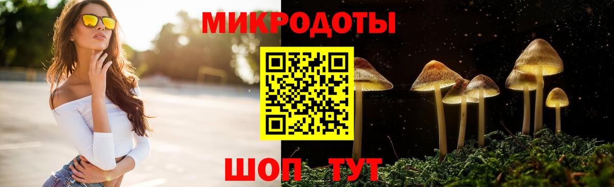 Вольск  Галлюциногенные грибы Cubensis  Вход с VPN 